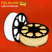 FSL/佛山照明 FSL 5050灯带 led灯带